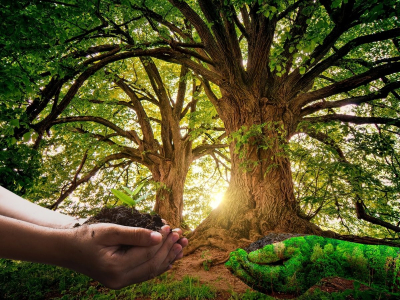 Dia Mundial do Meio Ambiente. Ecologia Integral e Esperan&ccedil;a.