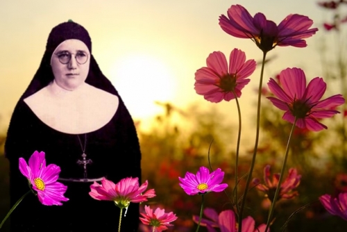Irmã Cléglia Ânesi: uma vida que floresceu!